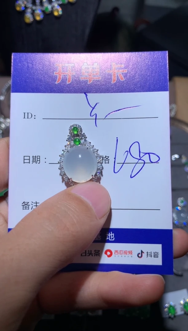 【闪购商品】翡翠颈饰银S925镶嵌定向 Y.m