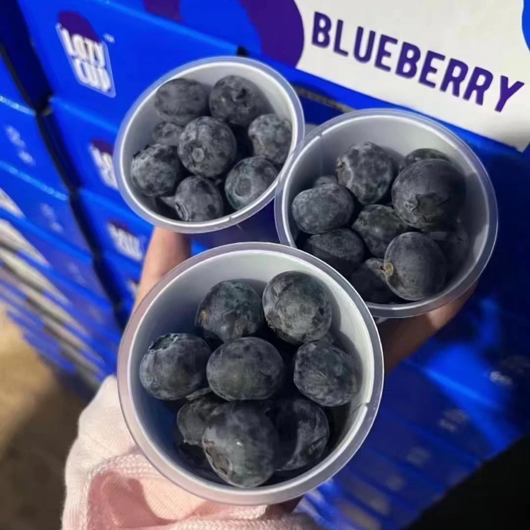 【云南L25蓝莓】颗颗饱满，个个脆甜的超大高山蓝莓让您幸福甜蜜“莓”一刻~！蓝莓同城送