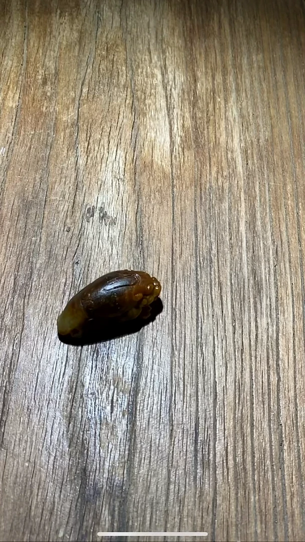 未镶嵌和田玉挂件HLH6824