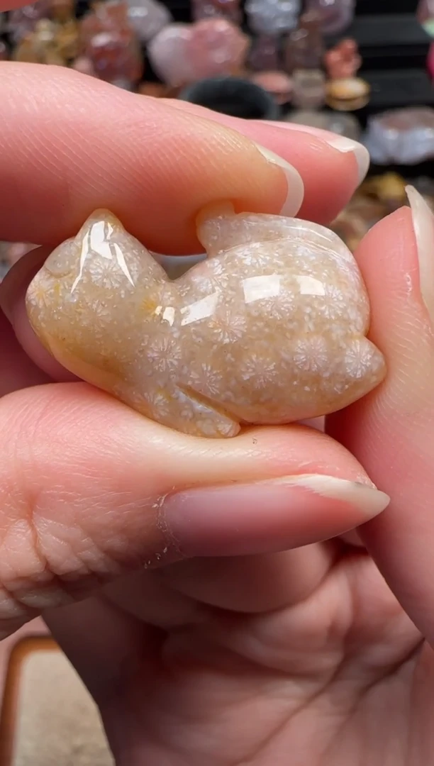 颈饰未镶嵌硅化珊瑚（珊瑚玉）409