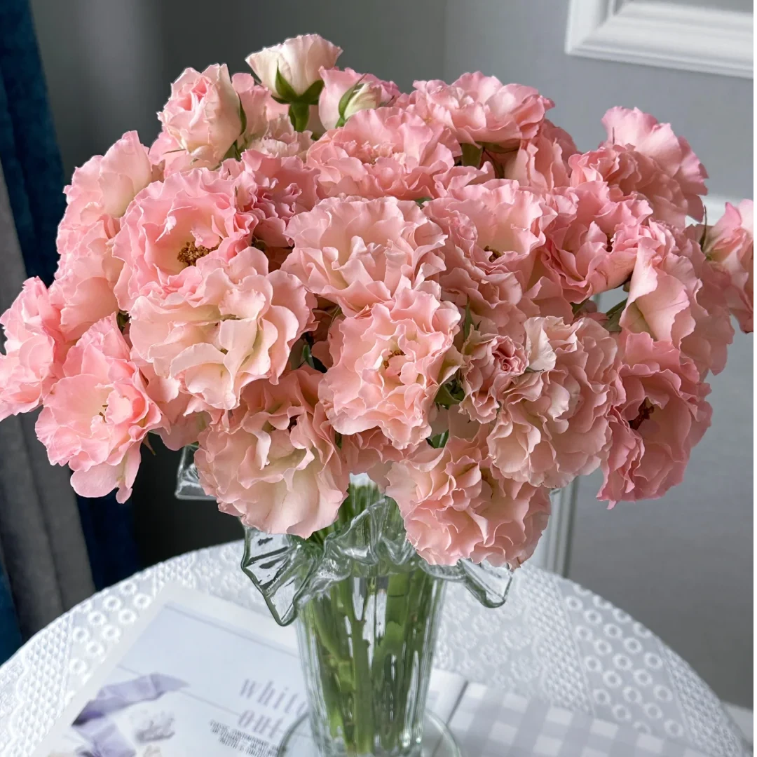 【新品限量】人鱼公主泡泡10支【全店任意满2件发顺丰京东】云南鲜花