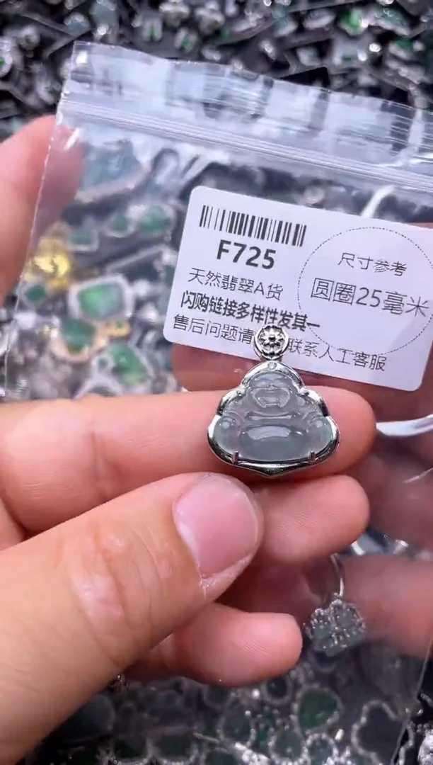 翡翠未镶嵌颈饰F725吊坠