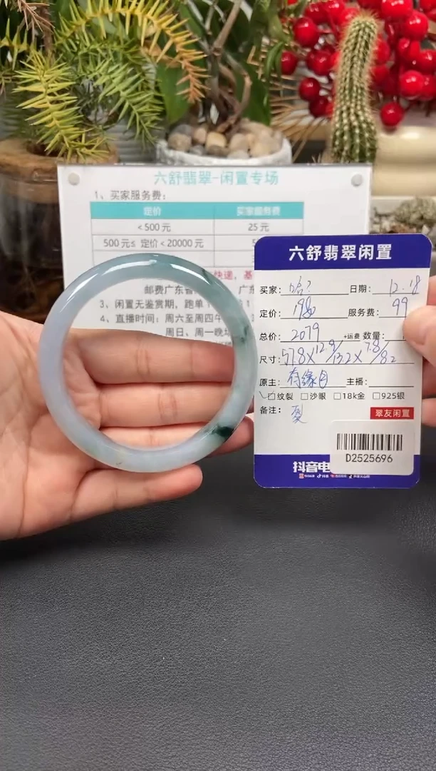 未镶嵌手镯翡翠哈****吧D2525696