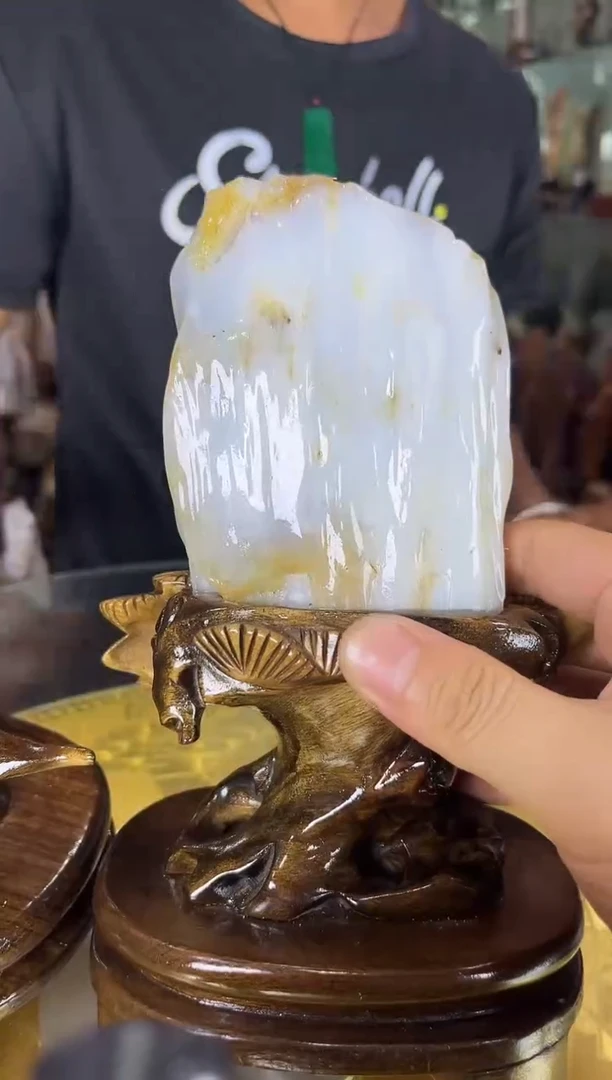 硅化玉珠宝奇石未镶嵌缅甸天然树化玉