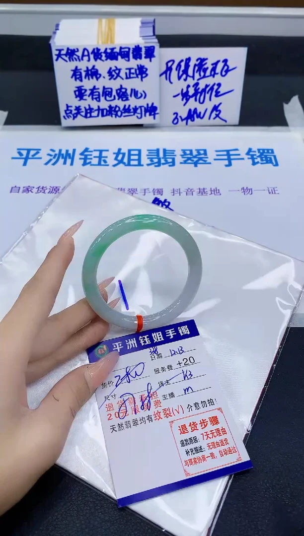 未镶嵌手镯翡翠111111