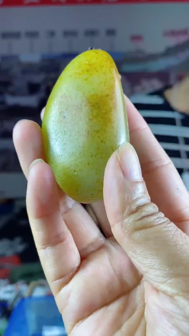 东**珠天然玉石未镶嵌颈饰
