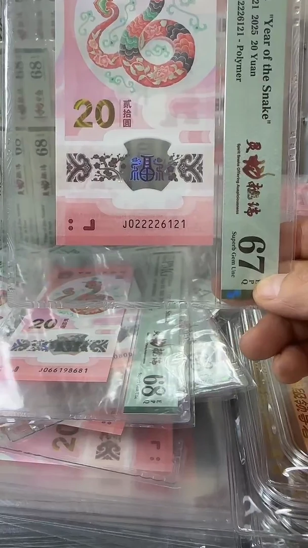 塑料022226121-蛇钞单张