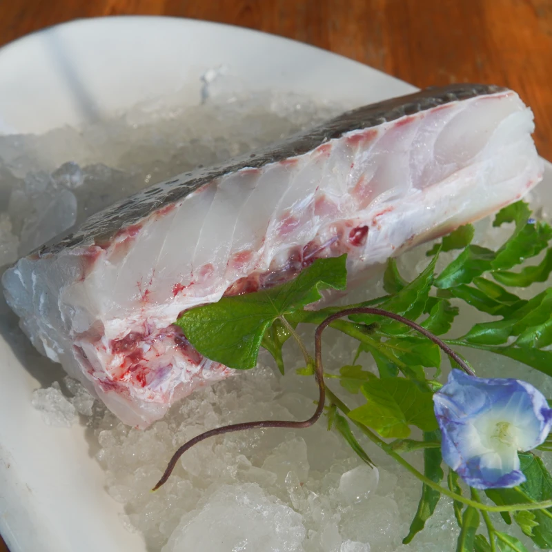 4斤白花鱼肉 本港黄姑鱼 适合清蒸 火锅 酸菜鱼 顺丰当天发货