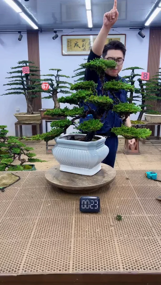 无花朵000000000000