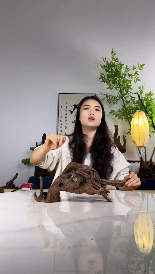 木****碧拍这个定向编号58