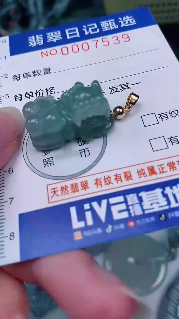 翡翠未镶嵌颈饰00007539