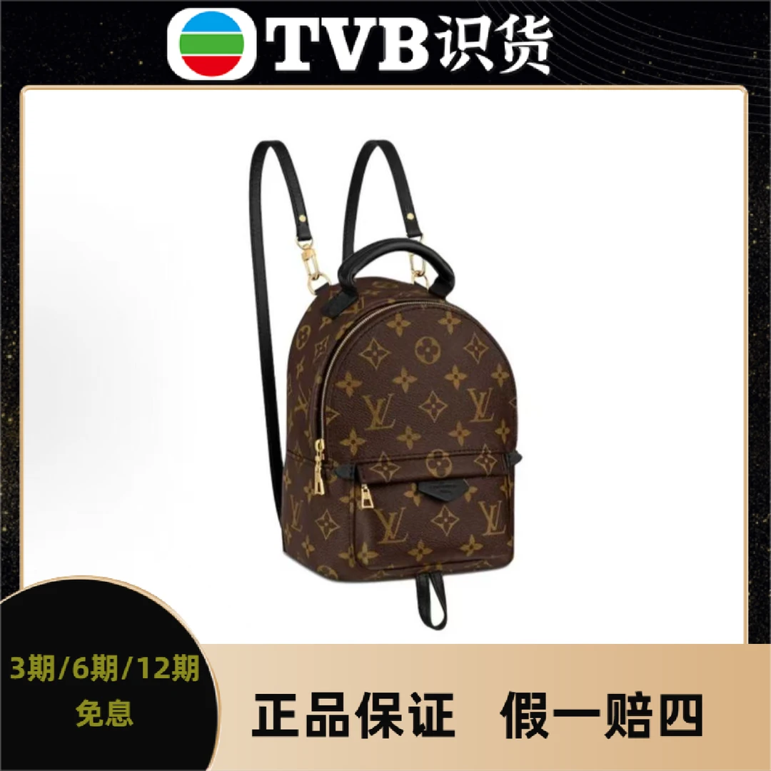 99新 LouisVuitton/路易威登 【TVB专属】LV 双肩包迷你棕色 编码款
