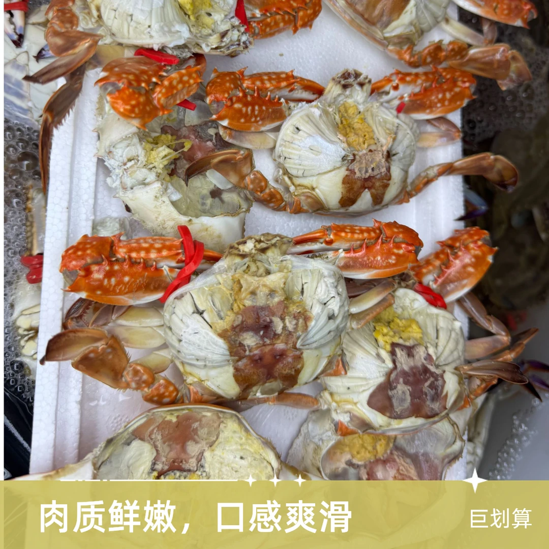 莱州湾梭子蟹花脐单只3两左右【保鲜不保活】3斤起