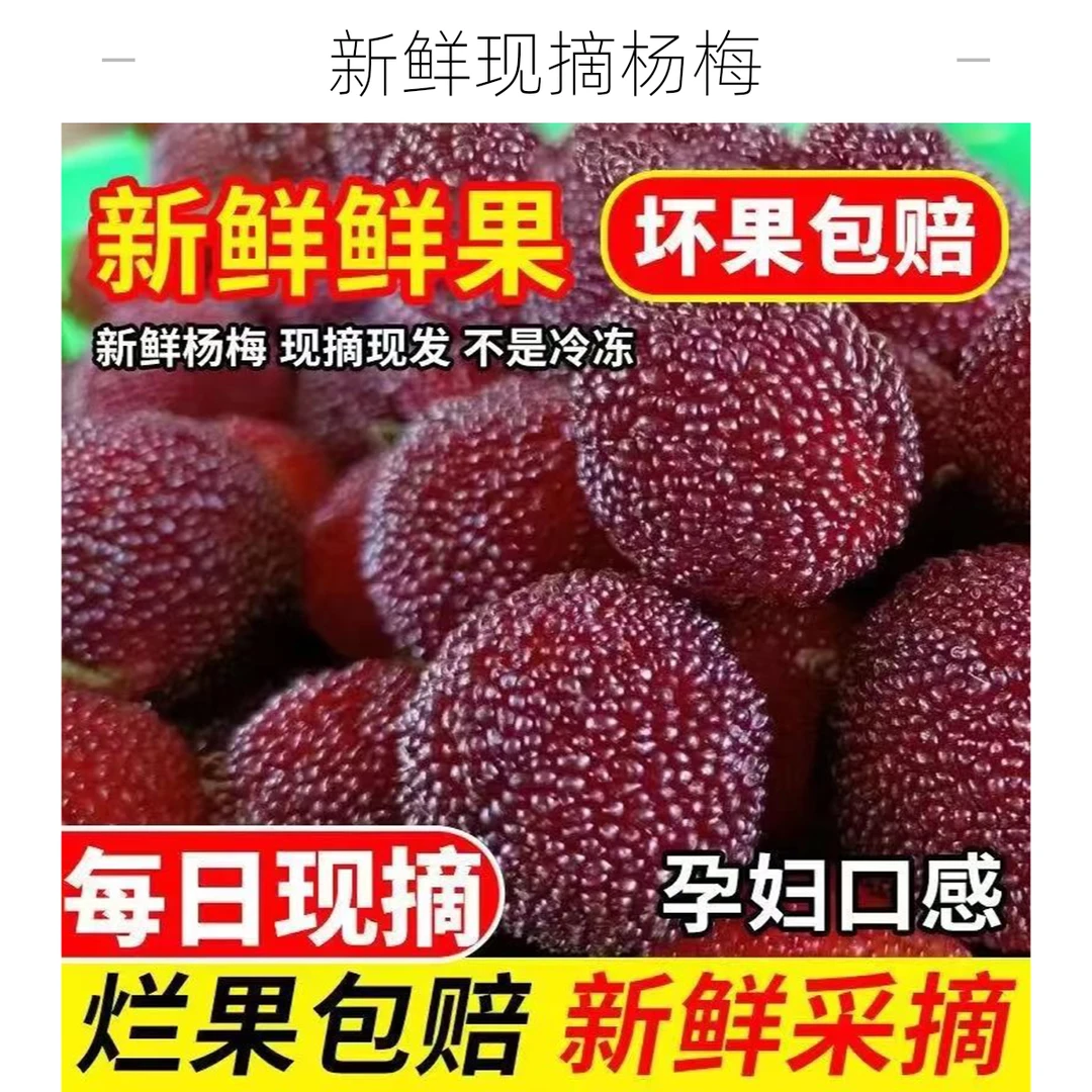 [顺丰包邮]福建漳州浮宫新鲜杨梅现摘现发酸酸甜甜3-5斤