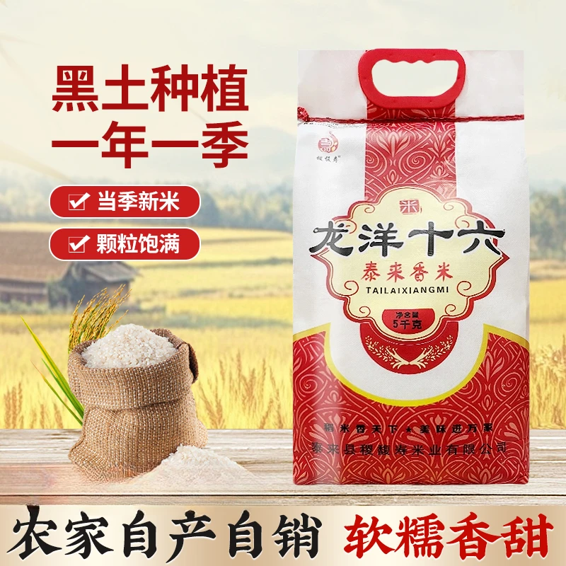 东北大米2025年散装稻香新米泰来龙洋16十六米5kg长粒香10斤煮饭