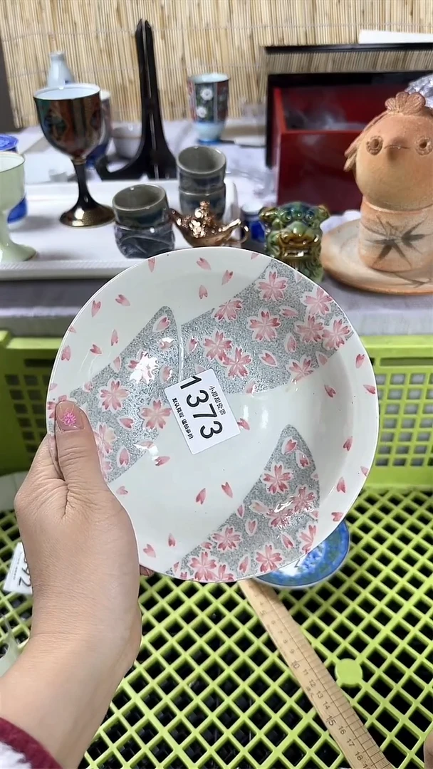 【闪购商品】碟              1373
