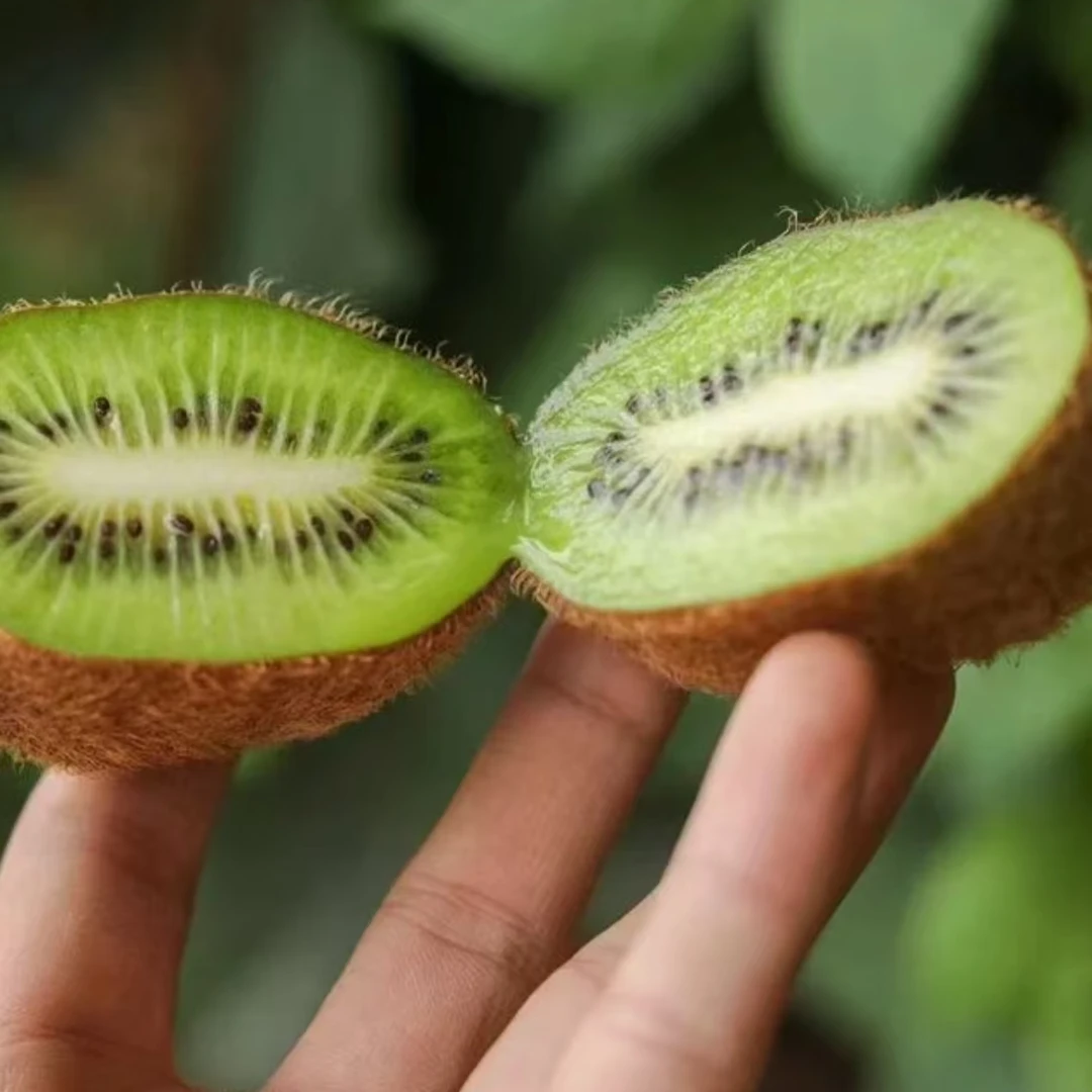 【顺丰】 翠香绿心猕猴桃 一份10颗/20颗 非“猕鲜生”（江浙沪皖）