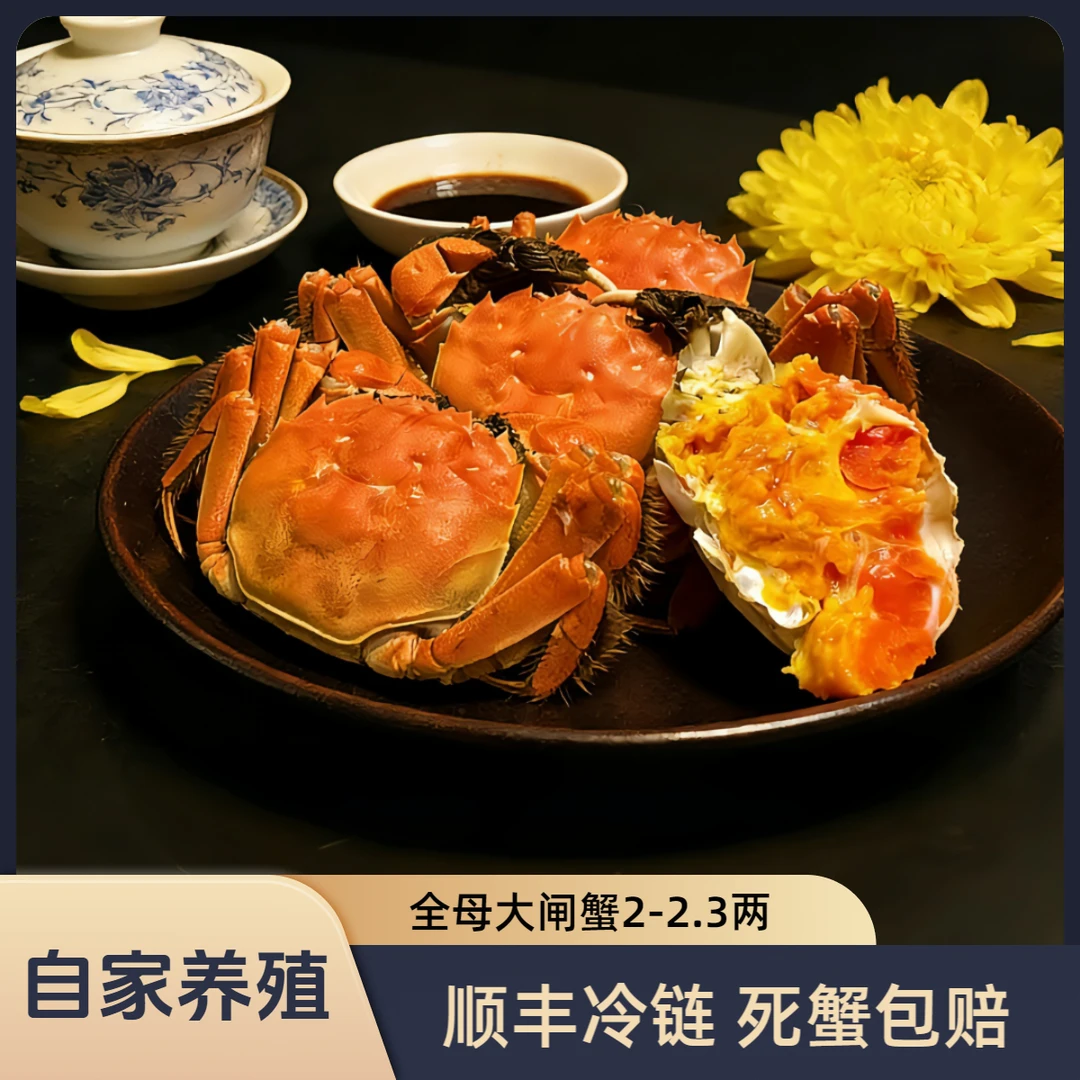 【精选全母肥活蟹】钱将军大闸蟹2-2.3两全母大闸蟹 8只|去绳净重礼盒顺丰包邮双旦佳节礼品自品皆宜