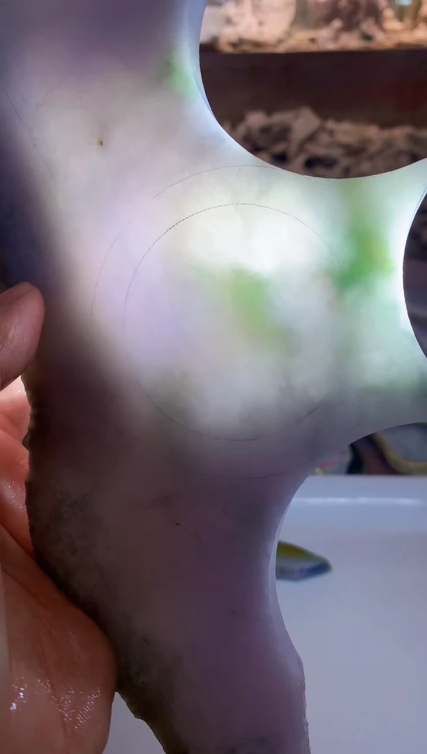 翡翠未镶嵌颈饰0朱0翡翠珠宝 937