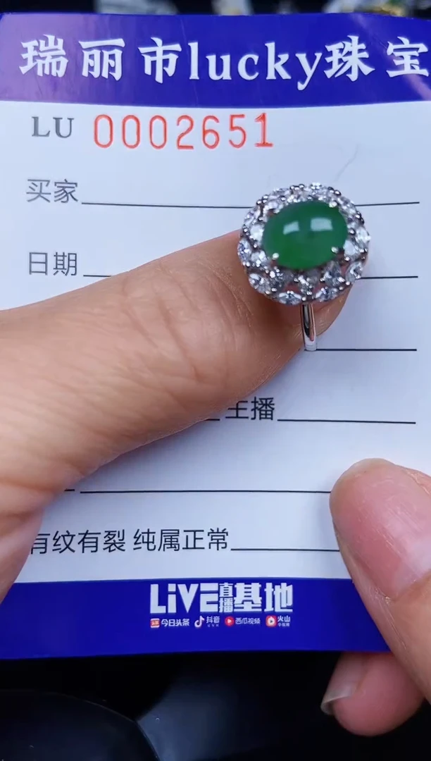 翡翠银S925镶嵌颈饰2651