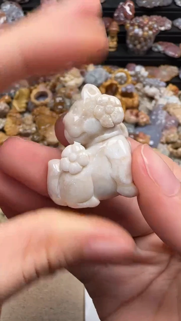 【闪购商品】硅化珊瑚（珊瑚玉）颈饰未镶嵌035