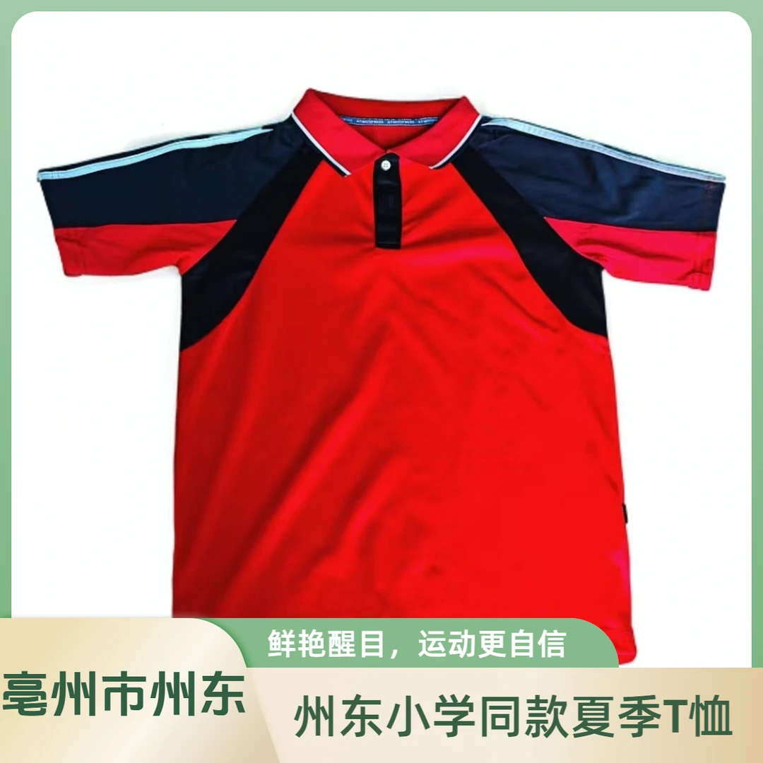 亳州州东小学同款夏季T恤短袖/一件起订