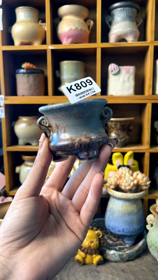 雪*湖809【多肉花盆多肉盆】