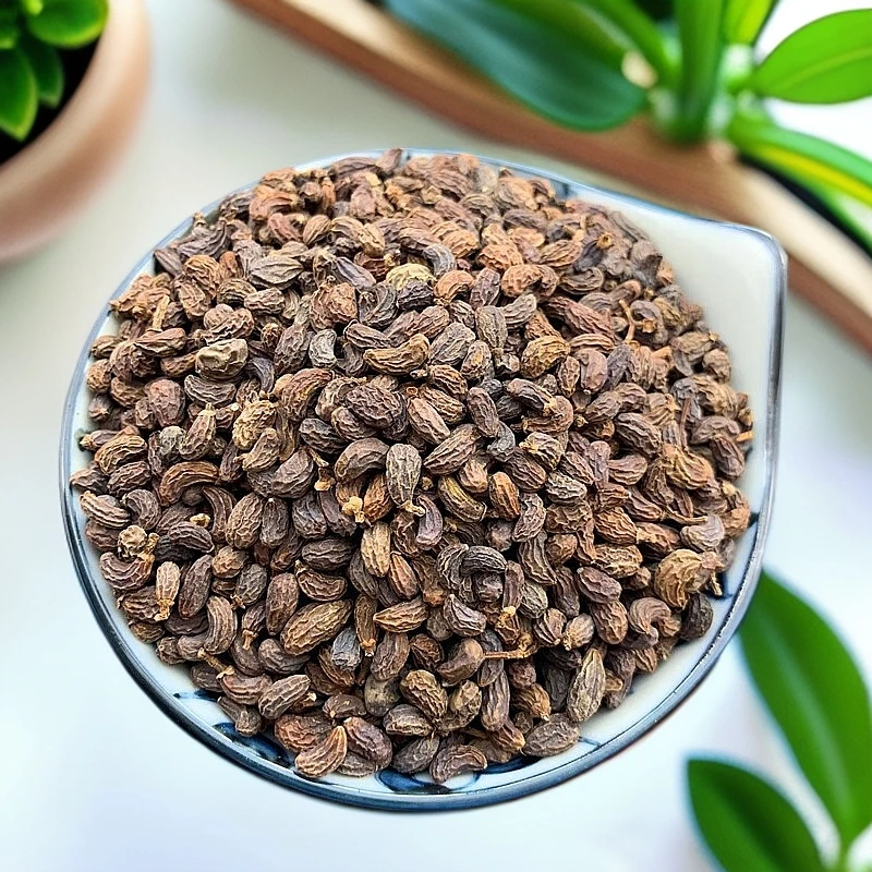 女贞子  甄选品质 净重250克