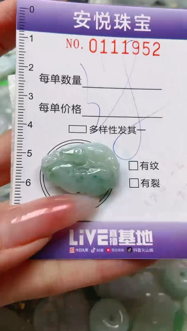 【闪购商品】翡翠颈饰未镶嵌闪购0111952