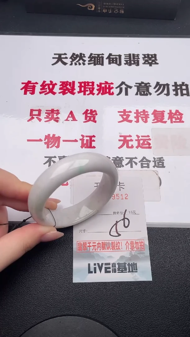 未镶嵌手镯翡翠12