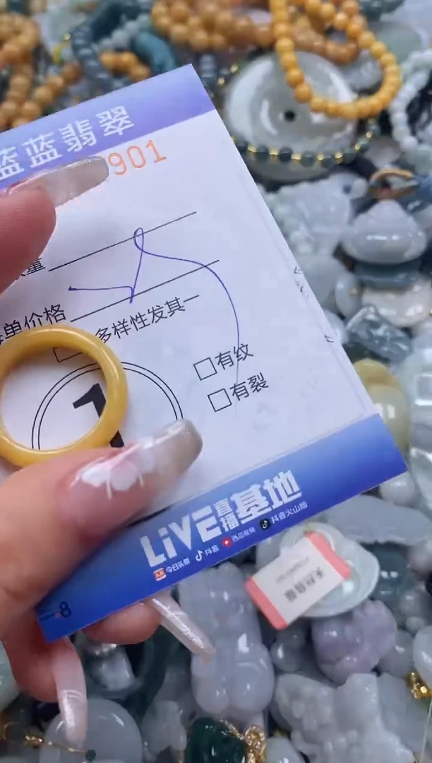 【闪购商品】翡翠颈饰未镶嵌闪购0164901