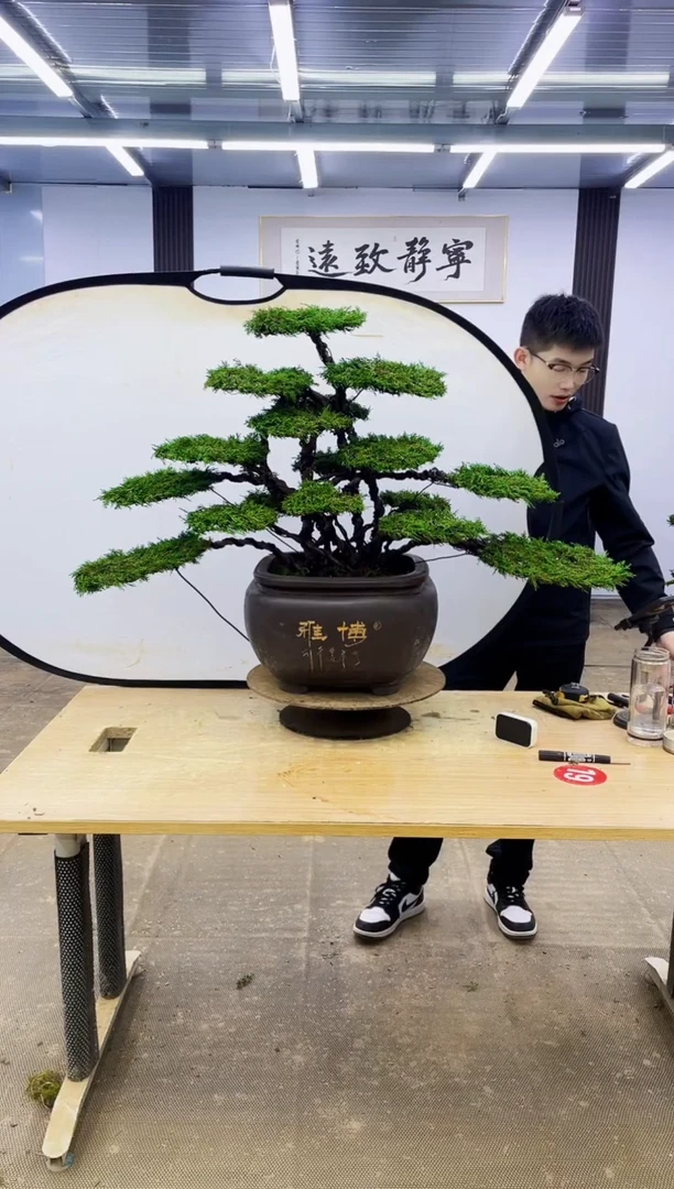 无花朵00000000000000000000