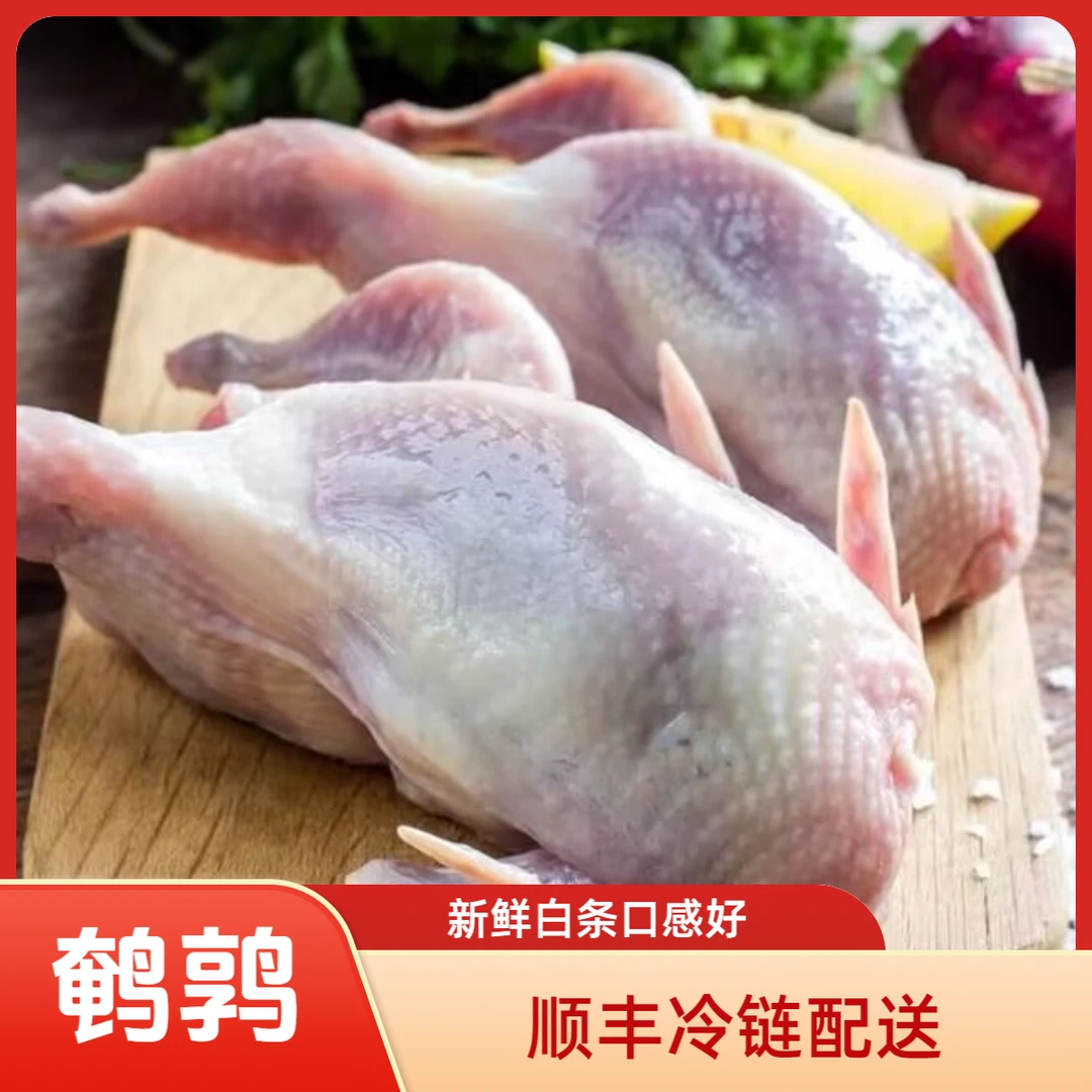 新鲜鹌鹑肉批发生鹌鹑肉商用白条鹌鹑卤味鹌鹑鸟10-50只