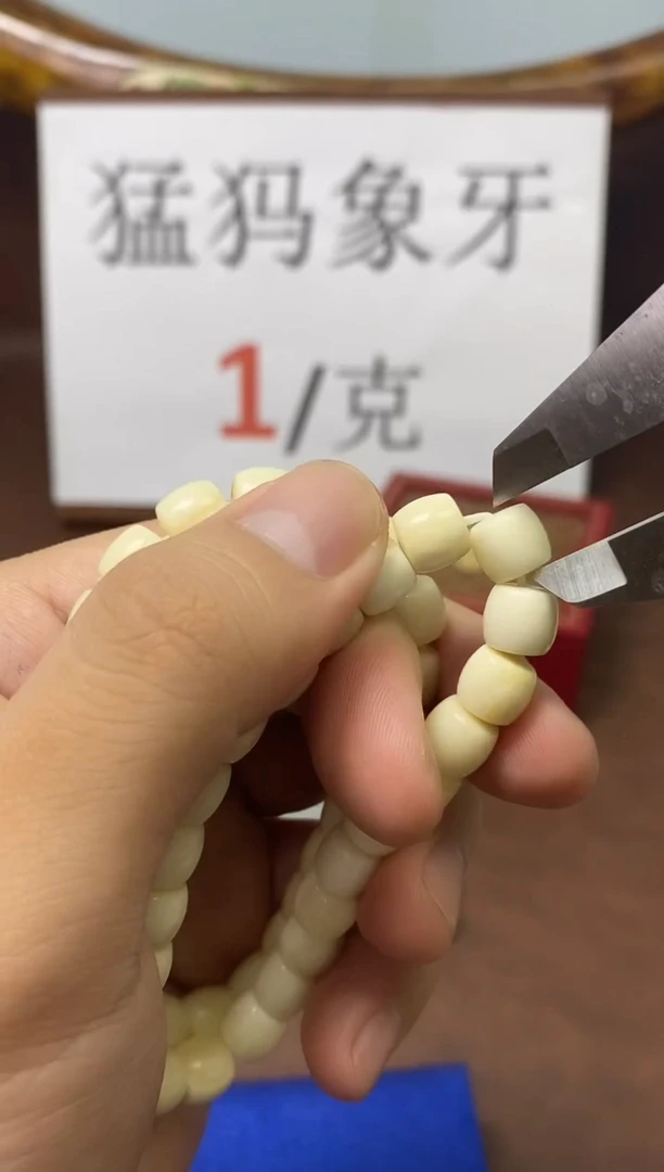 猛犸猛犸海胖半山半水9*8直切单圈