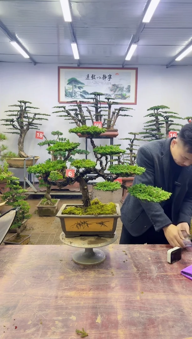 一物一拍，所见即所得