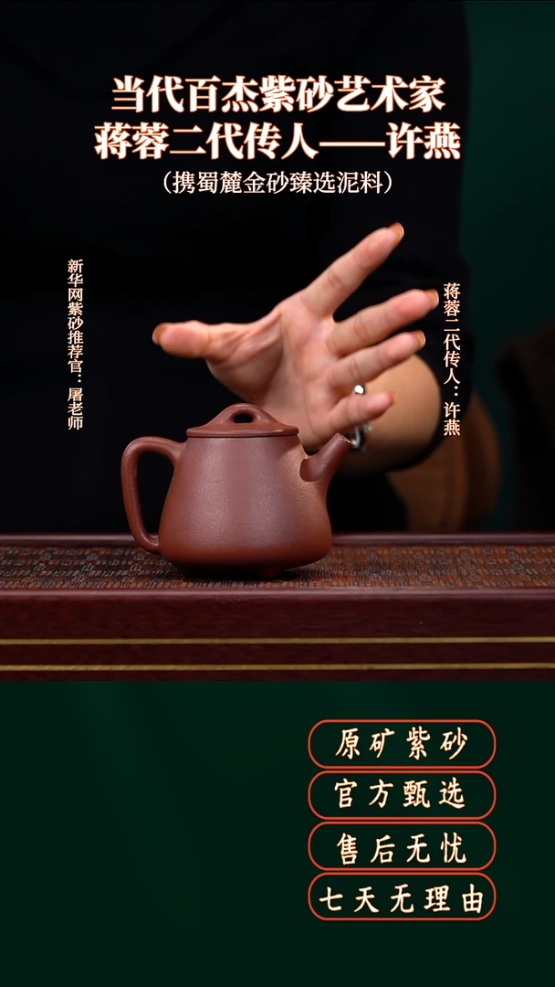 茶壶紫砂WQC全砂底槽青高石瓢