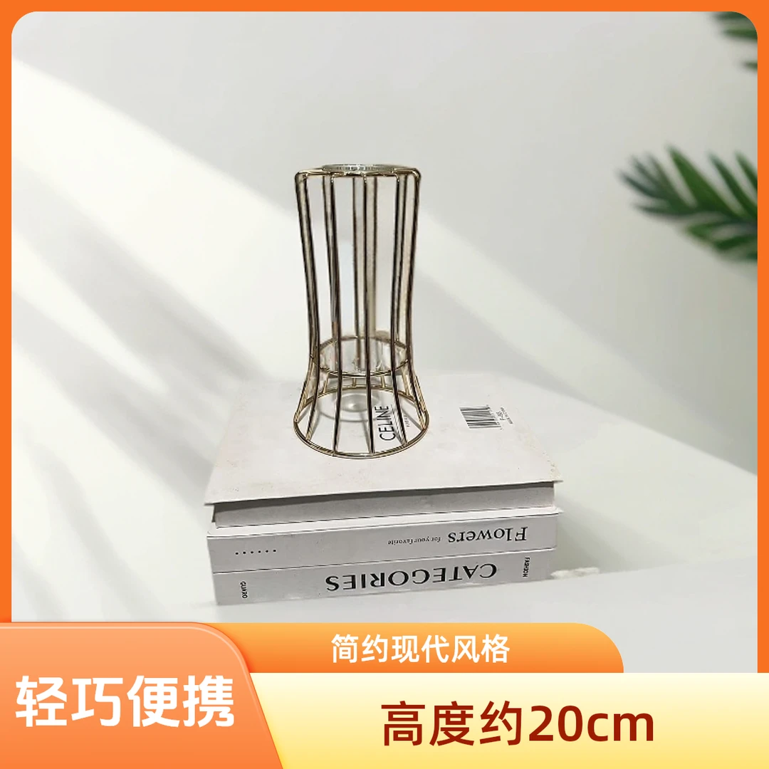 （22）简约创意试管透明花瓶