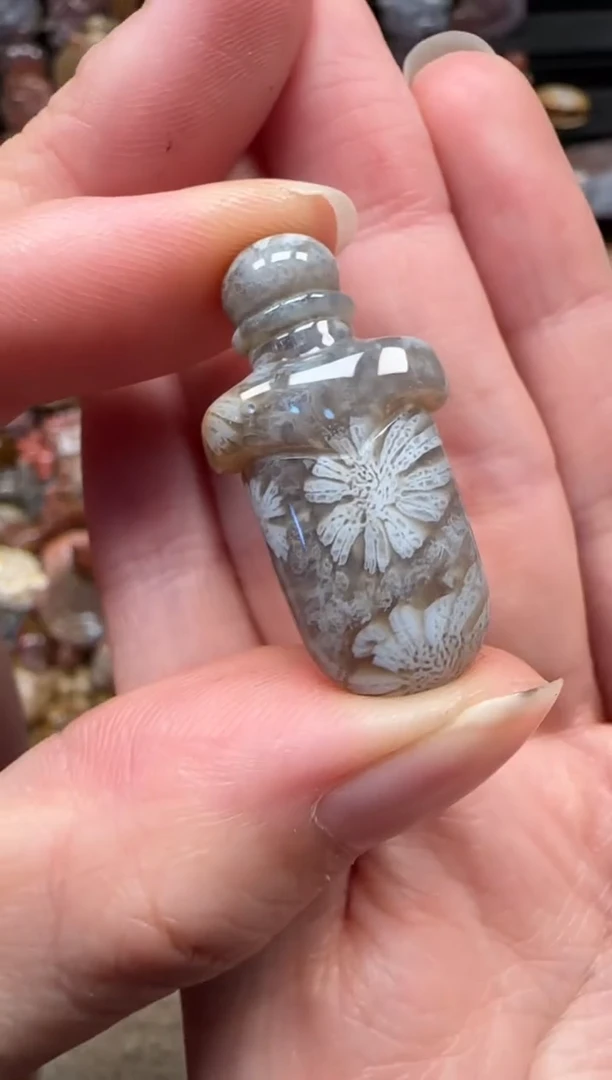 颈饰未镶嵌硅化珊瑚（珊瑚玉）375