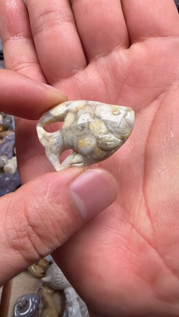 【闪购商品】硅化珊瑚（珊瑚玉）颈饰未镶嵌067