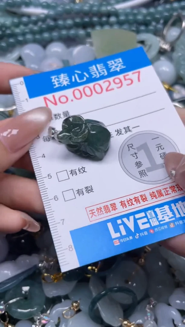 颈饰未镶嵌翡翠2957