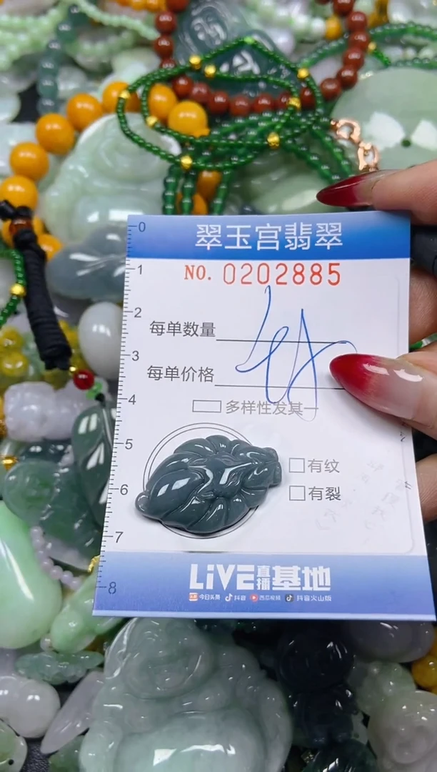 颈饰未镶嵌翡翠闪购C0202885