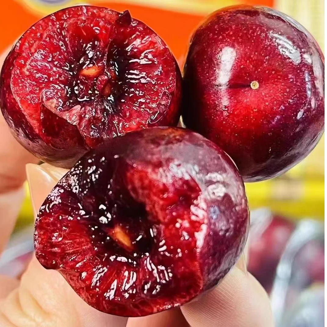 【拉宾斯lapins】智利海运车厘子J-4J规格净重5斤装原箱内附果径卡拉宾斯樱桃智利共和国