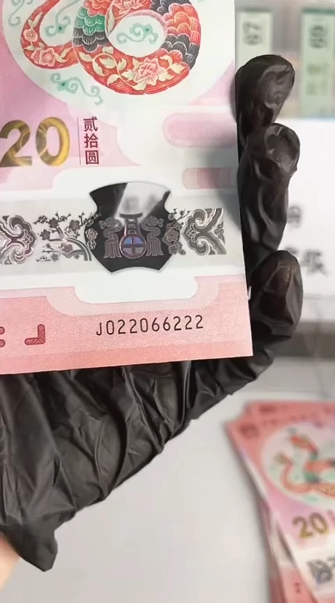 【闪购商品】塑料蛇钞单张号码022066222