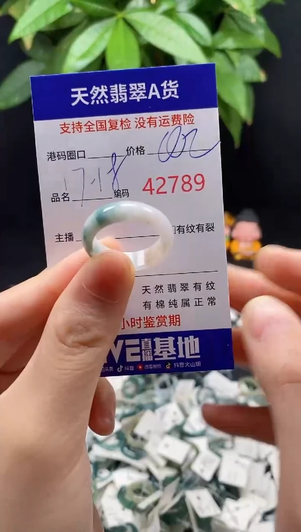 翡翠戒指未镶嵌天然翡翠戒圈2789