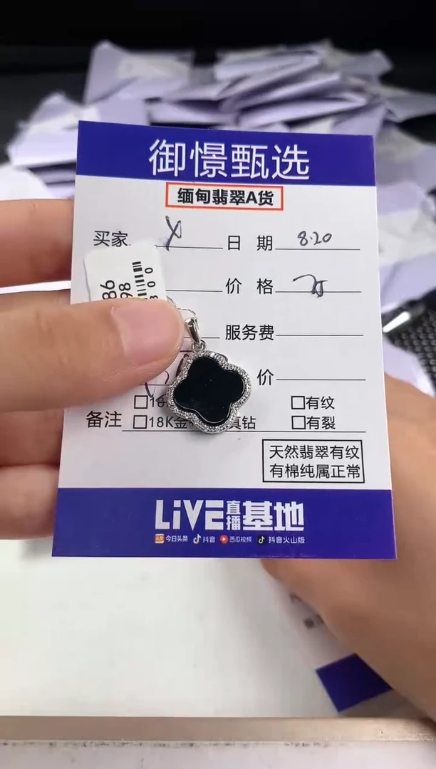 翡翠银S925镶嵌颈饰X****n62