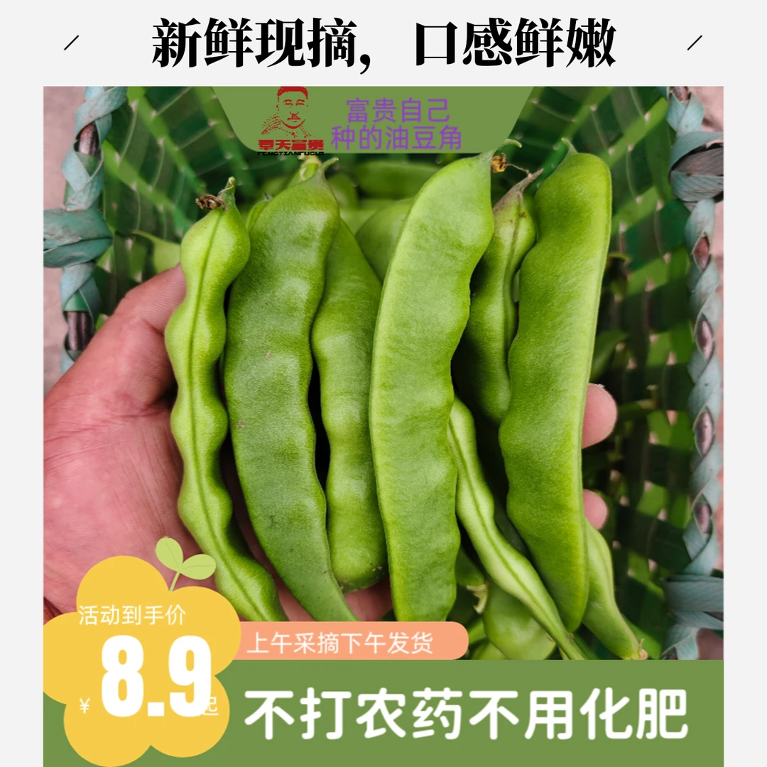 油豆东北地油豆豆角芸豆