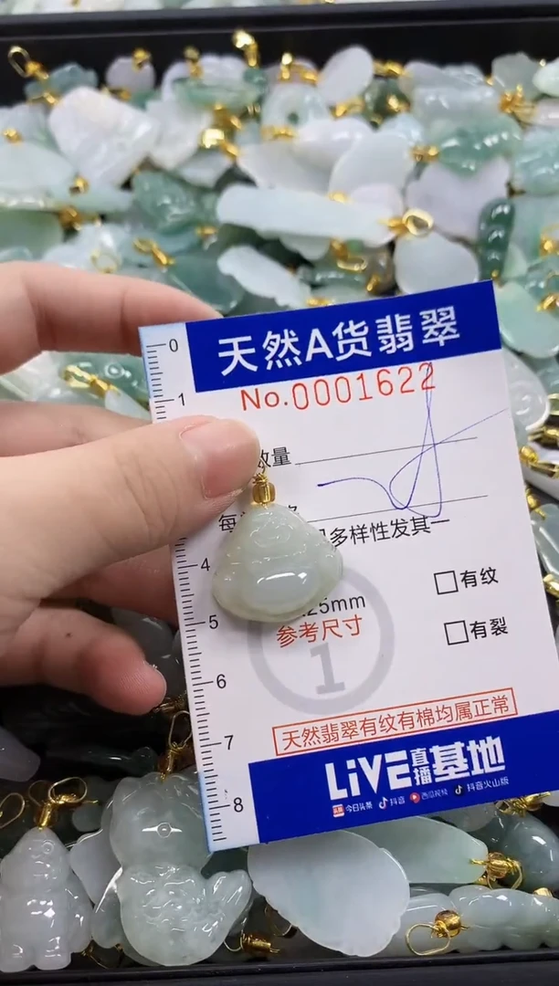 颈饰未镶嵌翡翠天然A货翡翠