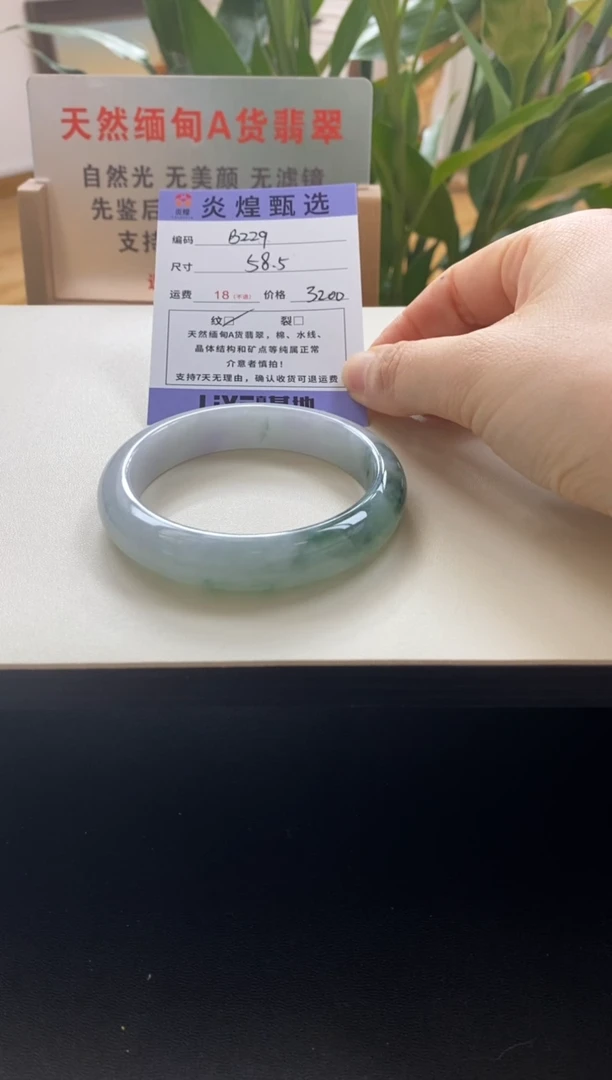 未镶嵌手镯翡翠披**肠圈口58.5编码b229