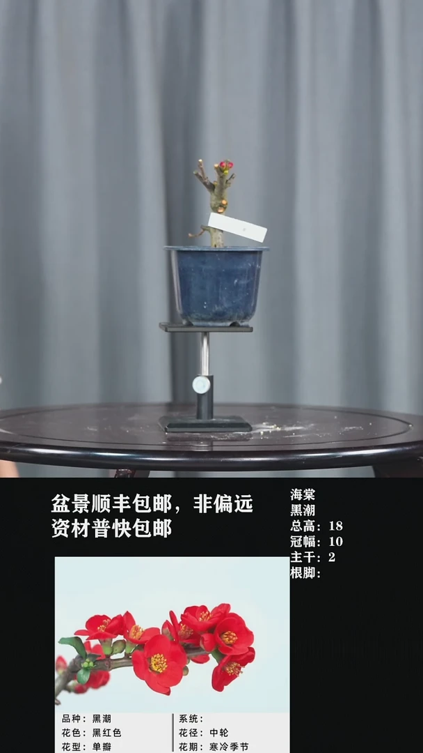 【闪购商品】-黑潮-U67