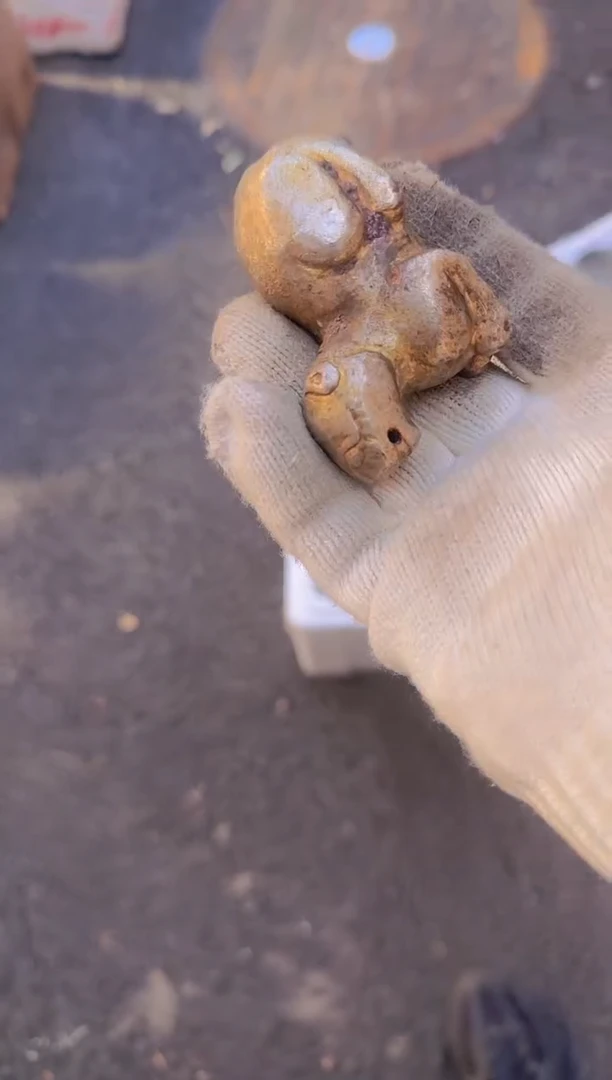 茶盏水***泪直播闪购改价链接